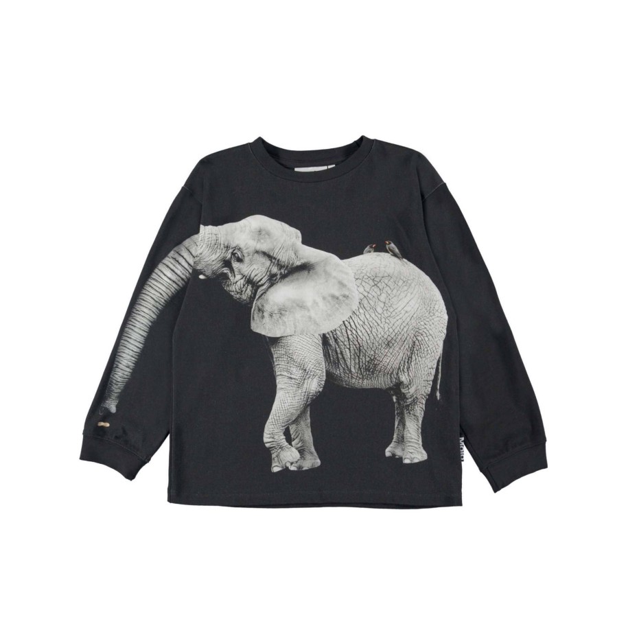 Molo Kids Molo Kids Elephant Rube Sweatshirt Sweatshirts