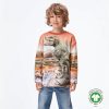 Molo Kids Molo Kids Dino Landscape Mountoo Sweatshirt Sweatshirts