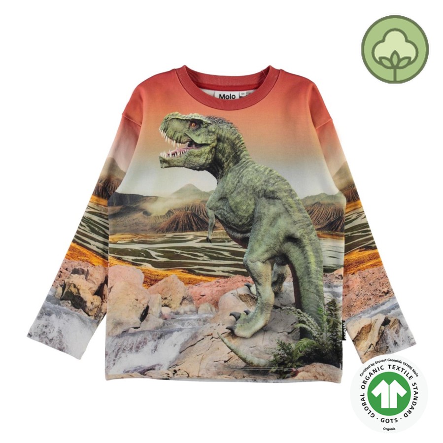 Molo Kids Molo Kids Dino Landscape Mountoo Sweatshirt Sweatshirts