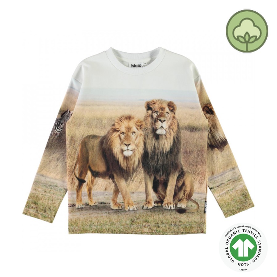 Molo Kids Molo Kids Mountoo Savanna Sweatshirt Sweatshirts