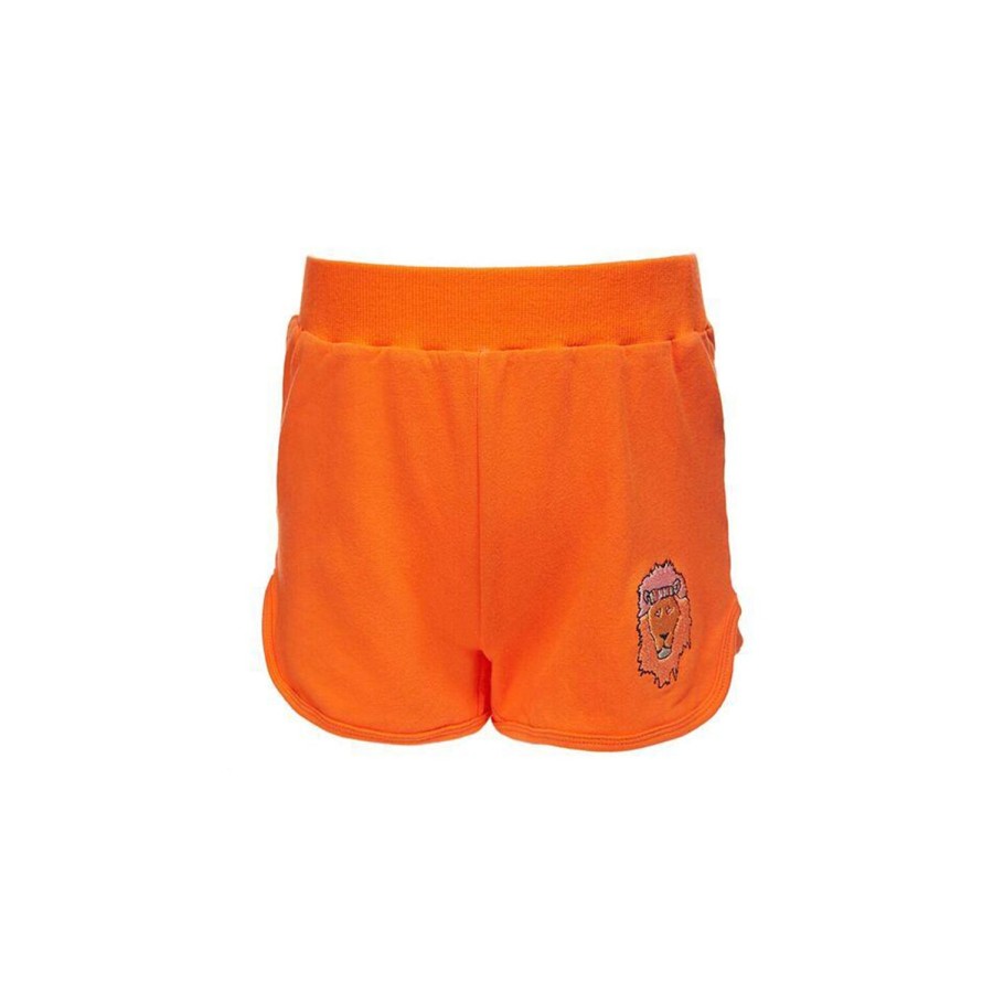 Gardner and the Gang Gardner And The Gang Lion Shorts Shorts